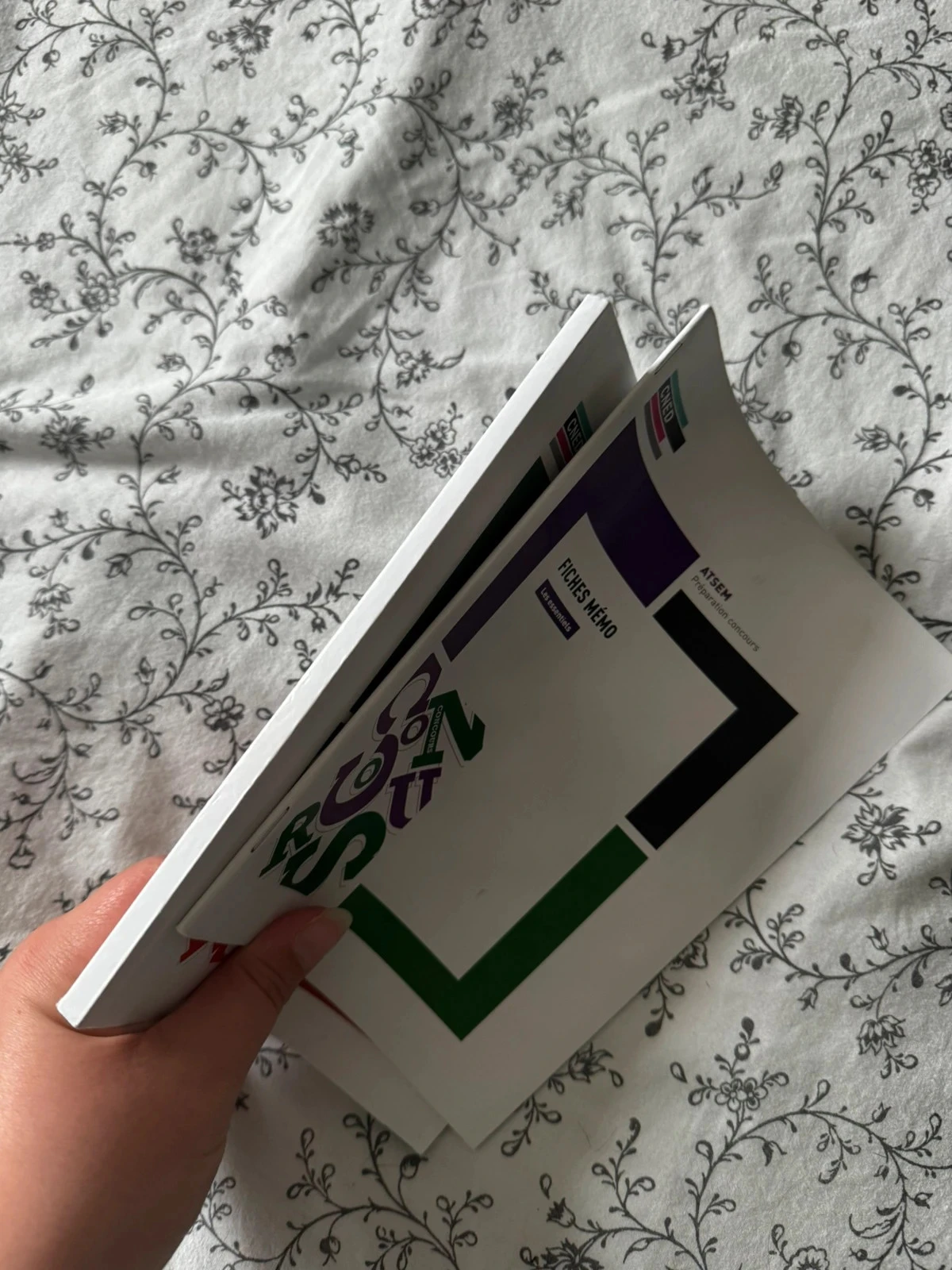 Lot complet de cours CNED – Cap aepe + Préparation Concours Atsem 📚 – photo 8